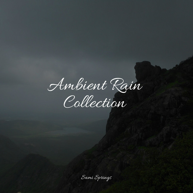 Relaxing Rain Sounds - Album by Sleep Sound of Nature | Spotify