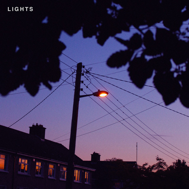 Lights cover