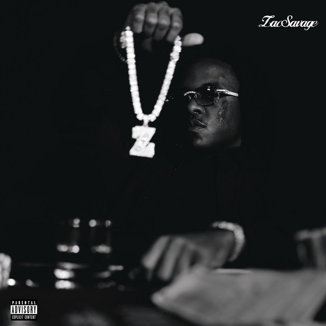 Savage Flow cover art