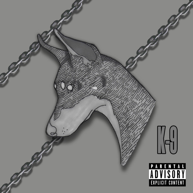 K-9