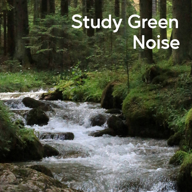 Study Green Noise