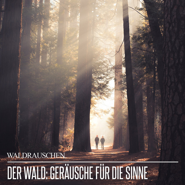 Der Wald: Geräusche für die Sinne cover art