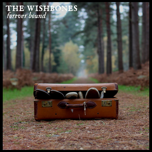 The Wishbones band image
