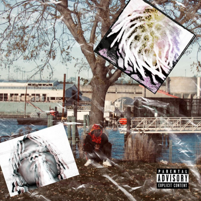 Fred | Spotify