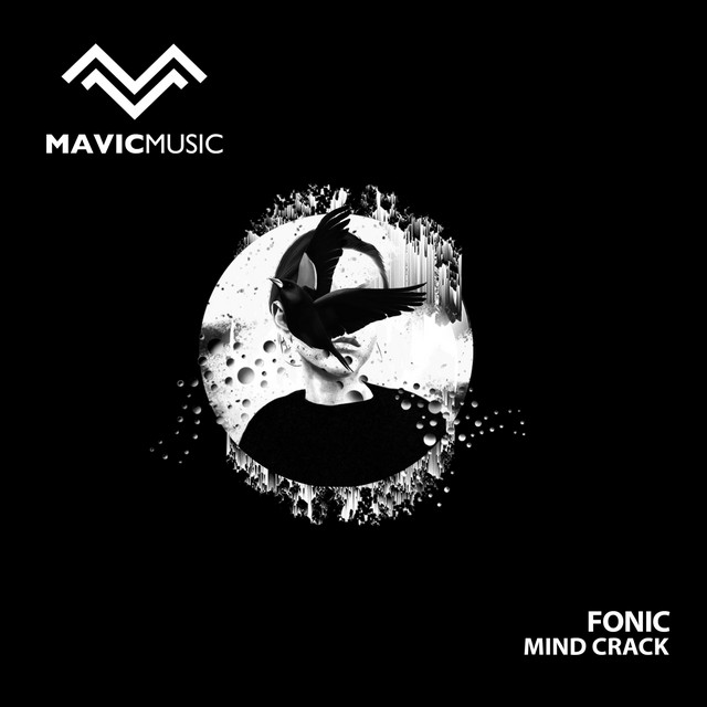 Mind Crack cover art
