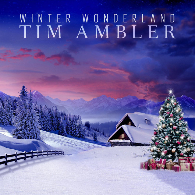 Winter Wonderland - Single by Tim Ambler | Spotify