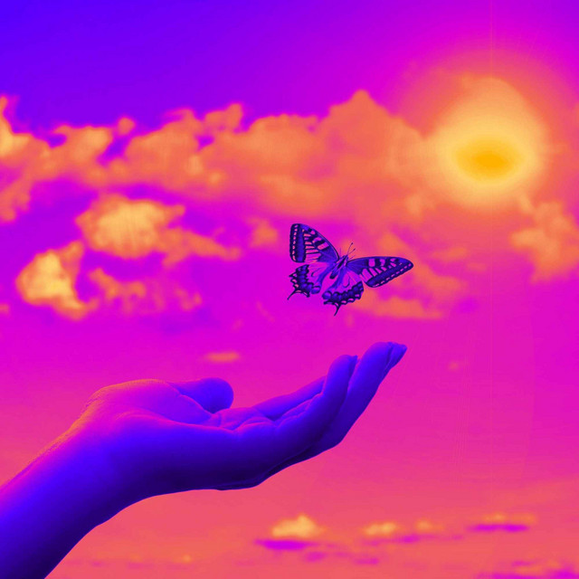 Jazz Piano Duo - Music for Softer Intros cover art