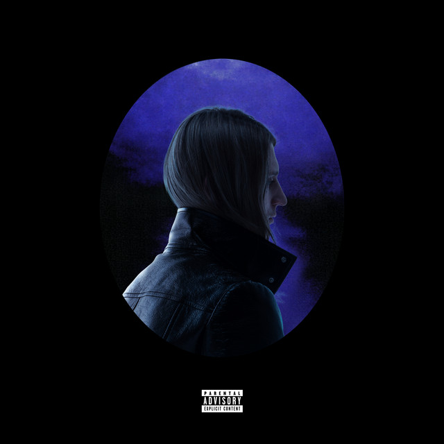 Платина cover art