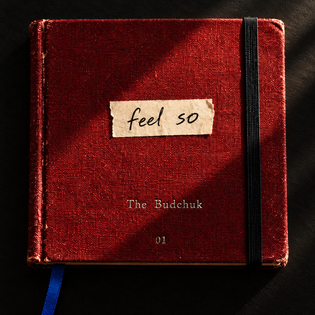 Обкладинка треку feel so