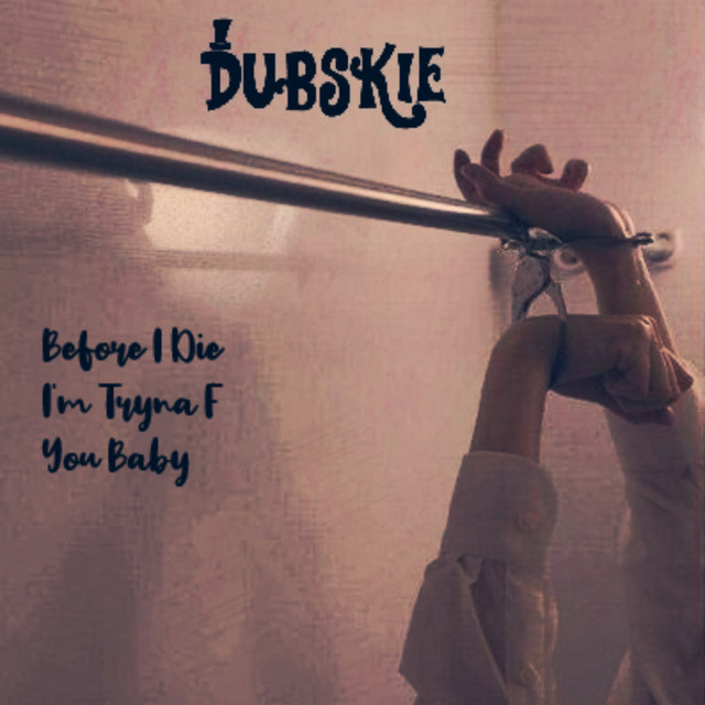 Before I Die I'm Tryna F You Baby cover art