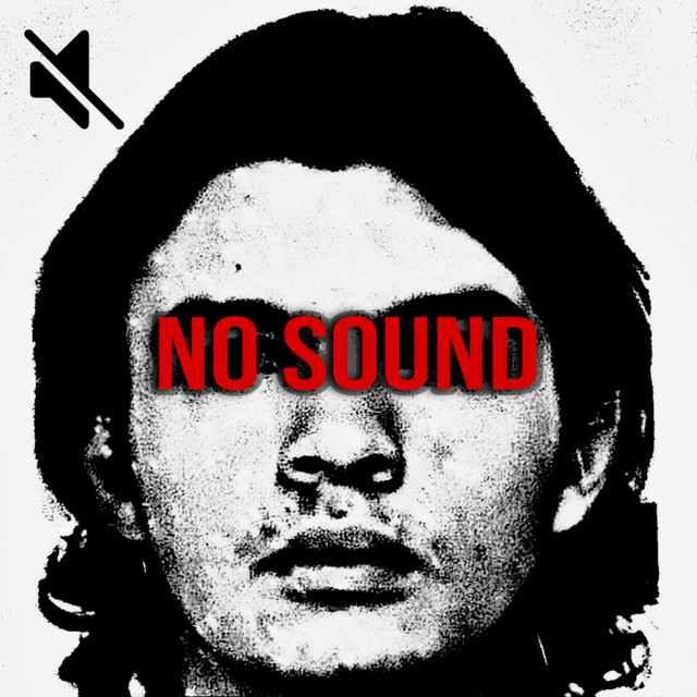 Обкладинка Plisexer — No Sound