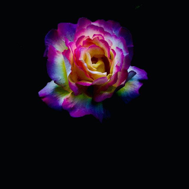 Grateful cover art