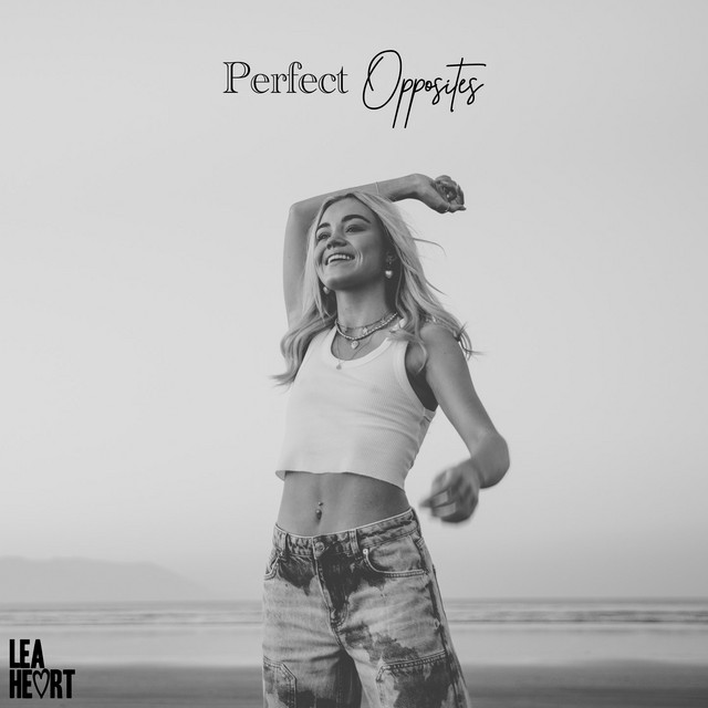 Perfect Opposites cover art