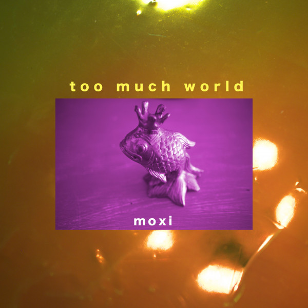Too Much World cover