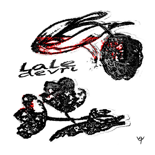 lale devri cover art