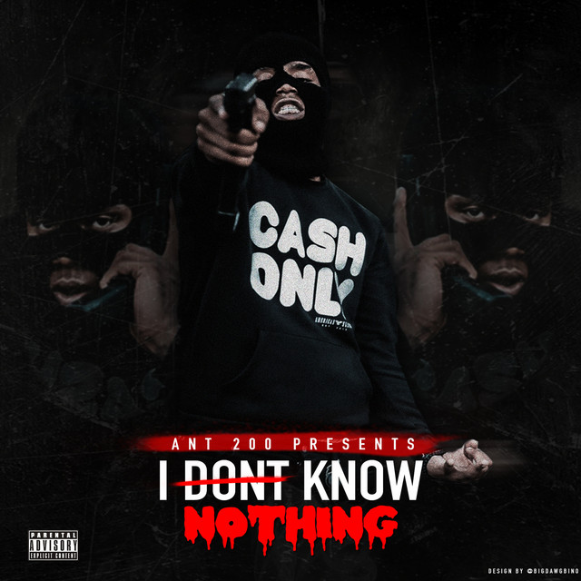 I Dont Know Nothing cover art