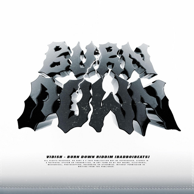 Burn Down cover art