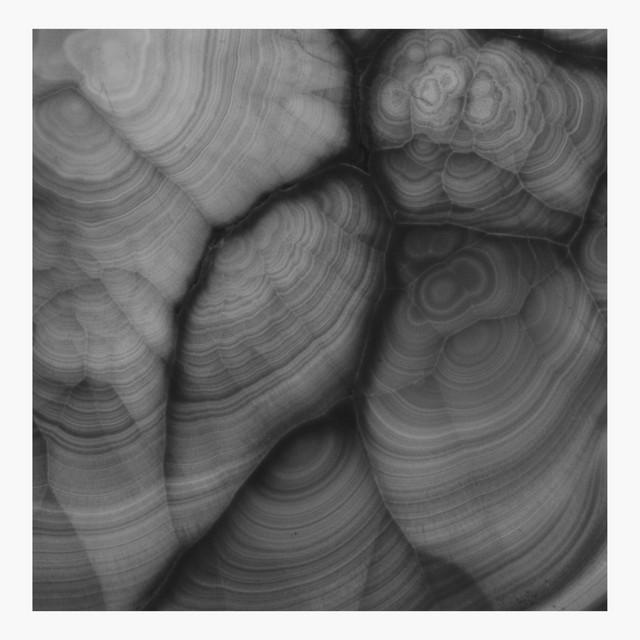 LACE / Winter cover art