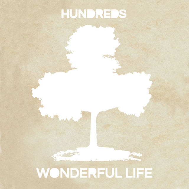 Wonderful Life