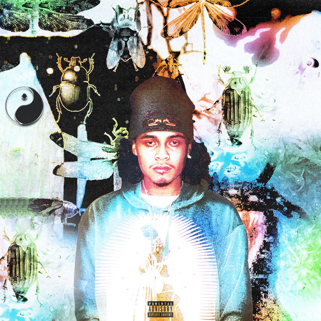 DELUSIONAL cover art
