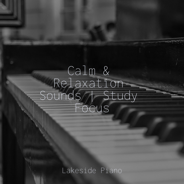Calm & Relaxation Sounds | Study Focus - Album by SD | Spotify