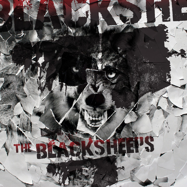 Blacksheeps cover art