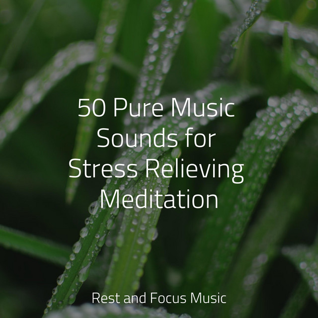 50 Pure Music Sounds for Stress Relieving Meditation - Album by Echoes ...