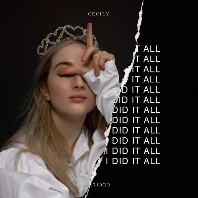 I Did It All cover