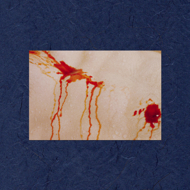 Bones cover art