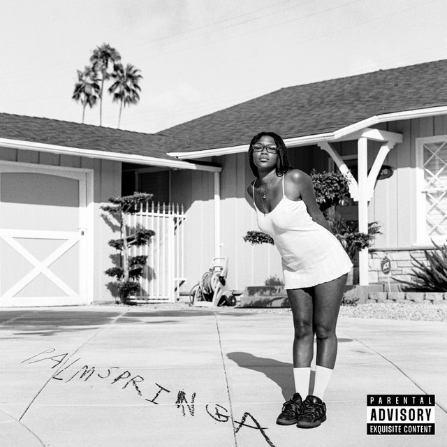 PALMSPRINGA cover art