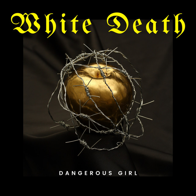 Dangerous Girl cover art