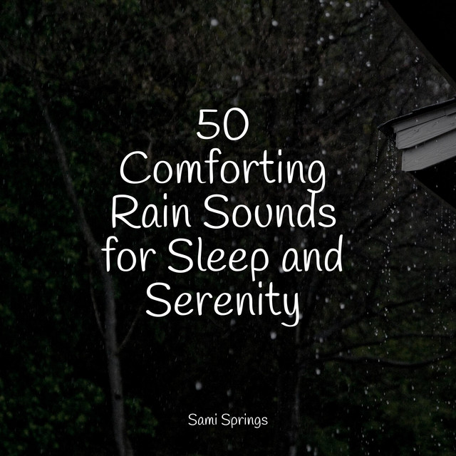 50 Loopable Rain Sounds for Deep Sleep - Album by Study Music | Spotify