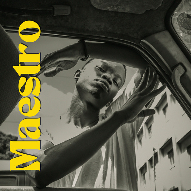 Maestro cover art