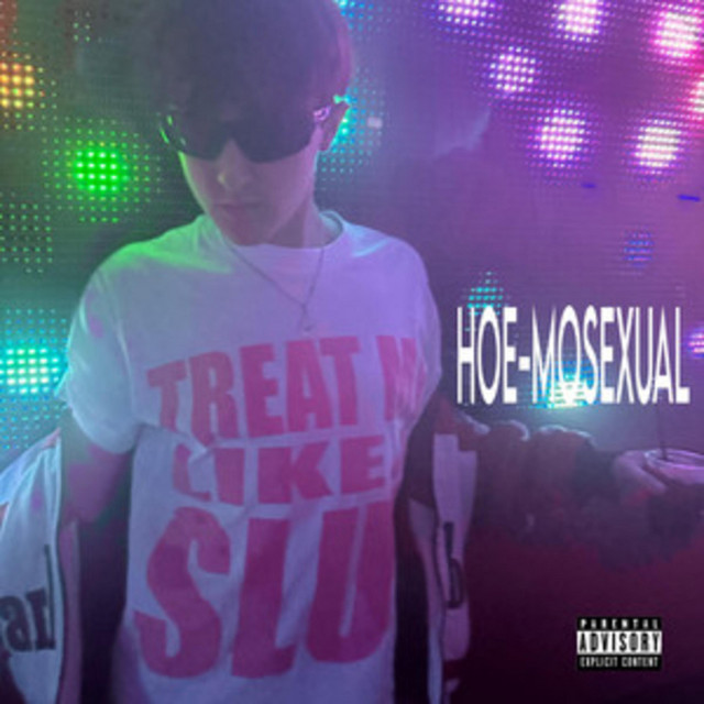 HOE-MOSEXUAL