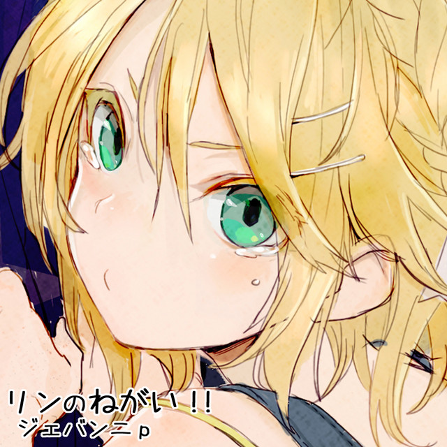 リンのねがい！！ cover art