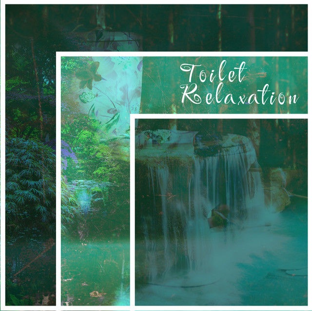 Toilet Relaxation: Peaceful Atmosphere, Constipation Therapy, Relief on the Toilet cover art