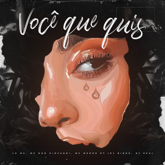 Você Que Quis
