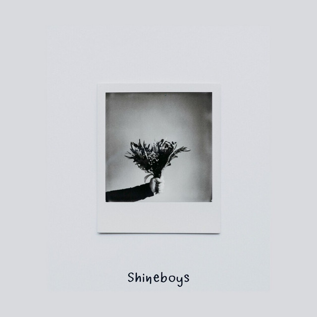 เสี่ยวเหมย (梅) cover art