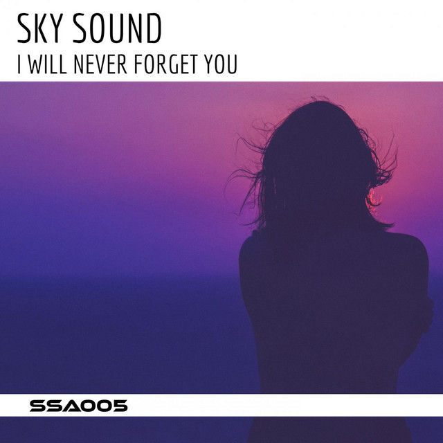 I Will Never Forget You Song And Lyrics By Sky Sound Spotify