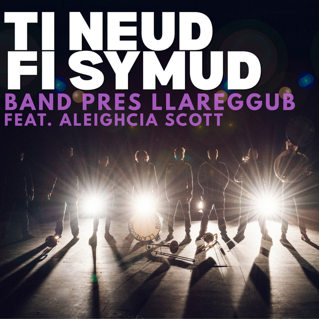 Ti Neud Fi Symud