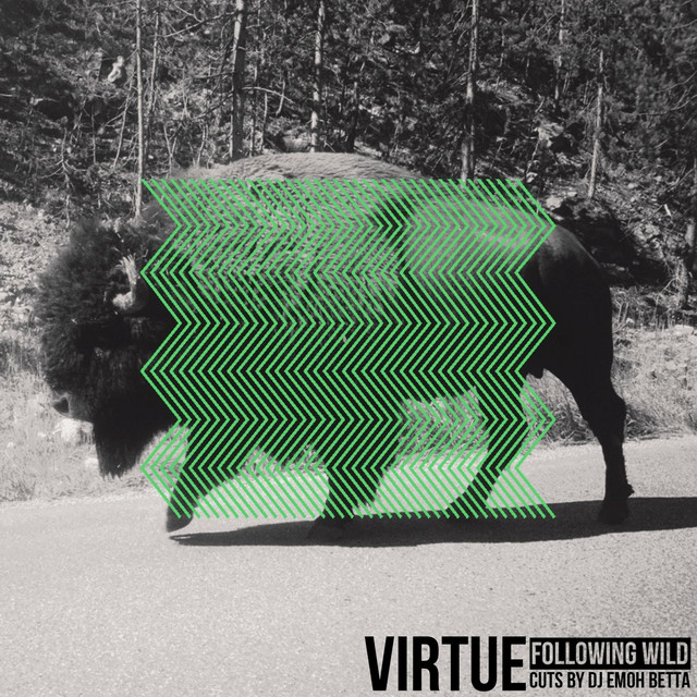 Following Wild cover art