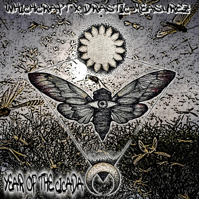 Year Of The Cicada cover art