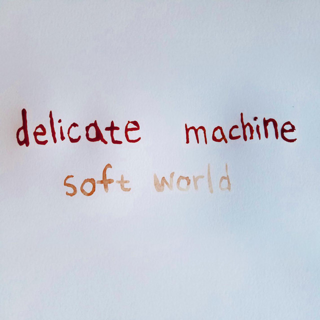Delicate Machine