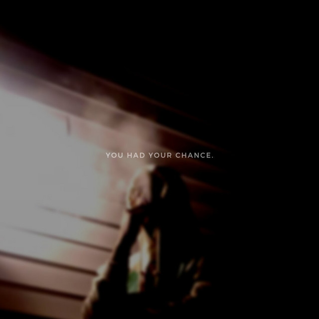 You Had Your Chance cover art