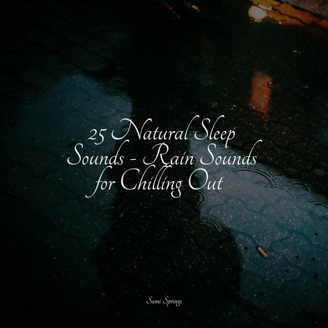 25 Natural Sleep Sounds - Rain Sounds for Chilling Out - Album by ...