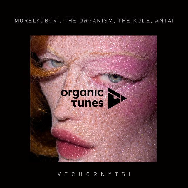 Vechornytsi artwork