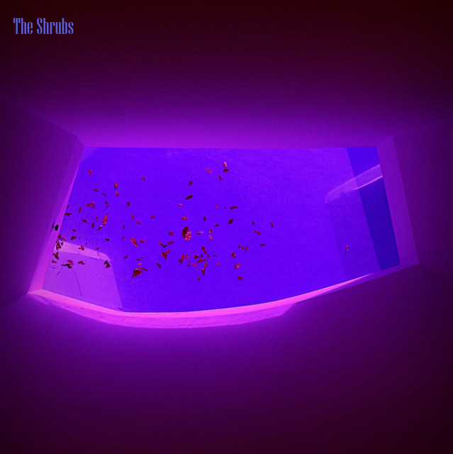 Echoes of a Dream cover art