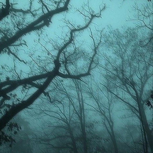 2am shoegaze