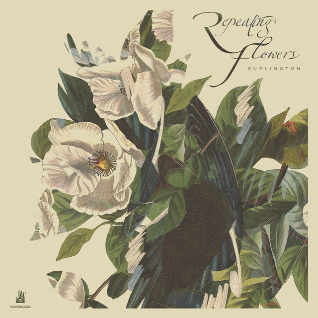 Repeating Flowers cover