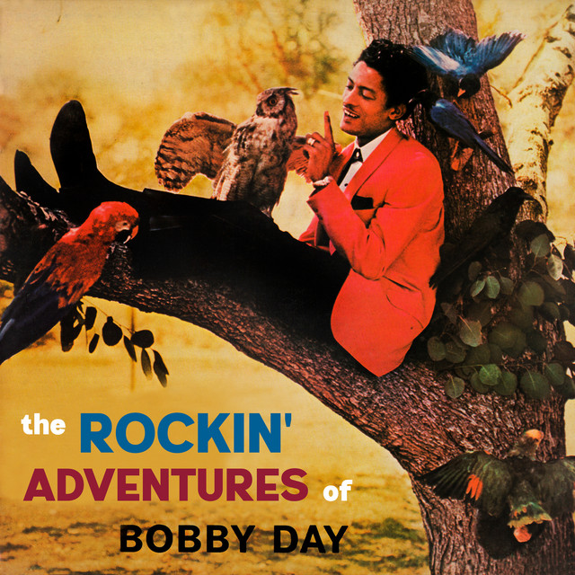 The Rockin' Adventures of Bobby Day cover art